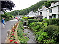 Stream Alongside The Coombe Polperro