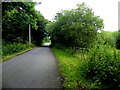 Glenhoy Road, Annagarvey