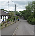 Towards the northeast end of The Cutting, Llanfoist