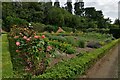 Haughley Park: Rose border and kitchen garden