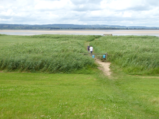 Path to the Severn shore