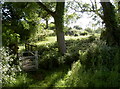 Footbridge near Woollard