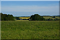 Mid Devon : Grassy Field