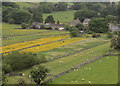 Parliamentary Enclosure Fields Chelmorton