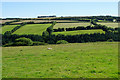 Fields above the West Lyn River