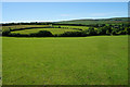 Field near Sparhanger Cross