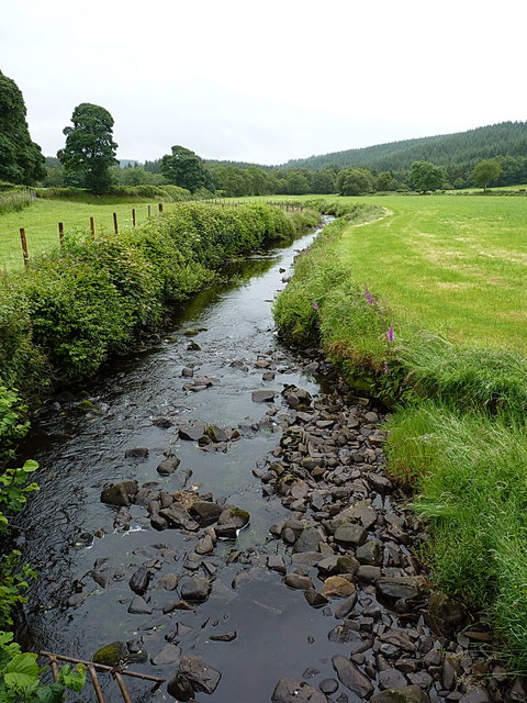 The Afon Cownwy, looking downstream