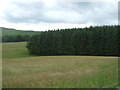 Grassland and woodland near Clovenfords  