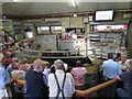 Frome Livestock Market - Auction ring