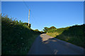 Mid Devon : Country Lane