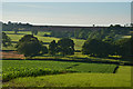 Mid Devon : Countryside Scenery