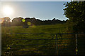 SS7602 : Mid Devon : Grassy Field & Gate by Lewis Clarke