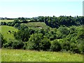 Mouth of the Wraxall Park valley