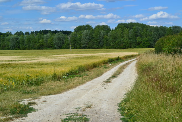 Track in field near Aldermaston