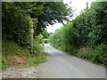 Pilgrims Way, Boughton Lees