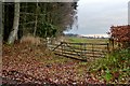 Field gate at Innercraigie