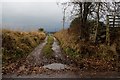 Track leading to Shearerston