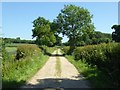 Track and footpath