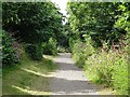 Cycle path through Hilton