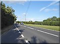 The A31, Winterbourne Zelston