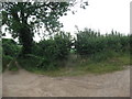 Footpath near Soudley