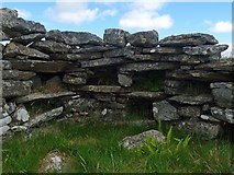 NB3137 : Shieling hut by Loch Gainmheach nam Faoileag, Isle of Lewis by Claire Pegrum