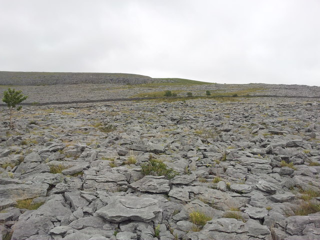 Burren karst at base of Turlough Hill, County Clare