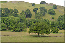 NY4600 : Trees and fields by the River Kent by Nigel Brown