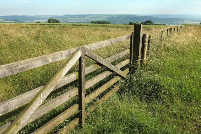 Gate and fence on Bredon Hill