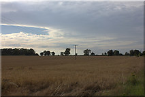 TM3559 : Field by Mill Lane by Robert Eva