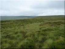 SH9322 : Moorland above the Eunant Fach by Richard Law
