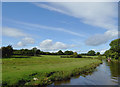 Canalside pasture north of Rhoswiel, Shropshire