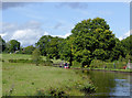 Canalside pasture north of Preesgweene, Shropshire