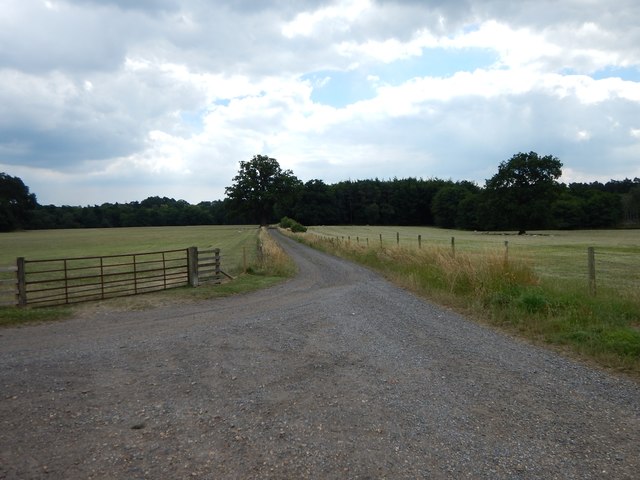 Rapley Farm - Track Leading South