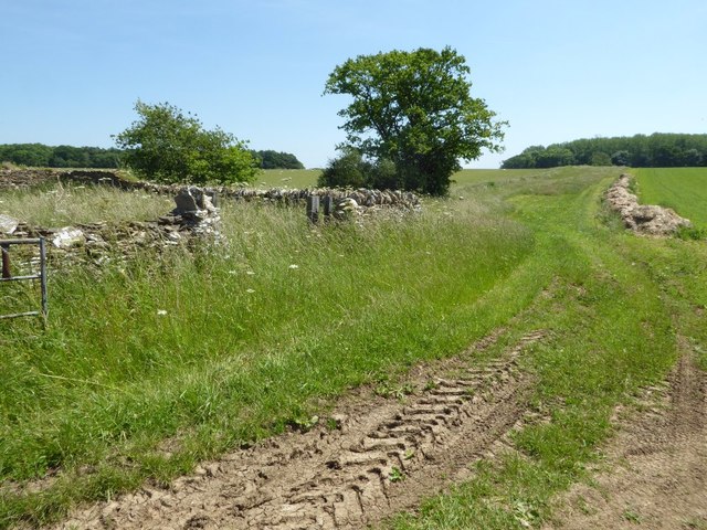 Field entrance and former sheep pound