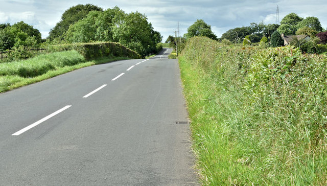 The Lower Ballyboley Road near Ballynure (July 2017)