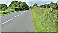 The Lower Ballyboley Road near Ballynure (July 2017)