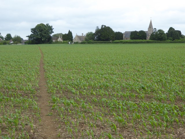 Path through the maize, Hilperton