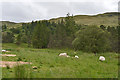 NM9527 : Rough grazing near Clachadow by Nigel Brown