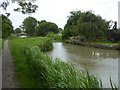 Site of former canal bridge at Melksham Park Farm