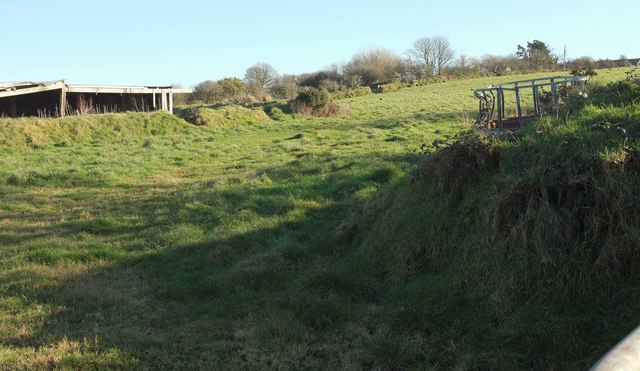 Barn, field and feeder near Pencarrow