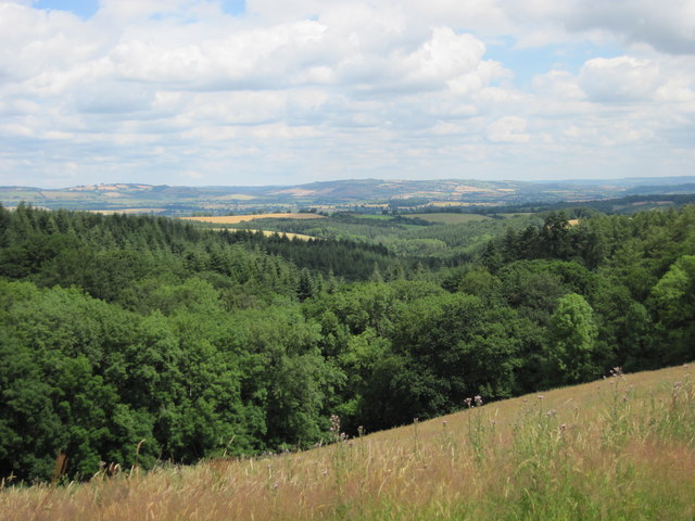 View across the Exe Valley towards the Blackdown Hills