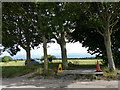 Traffic cones resting in the shade in a layby next to the A38