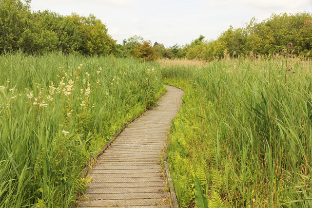 Ranworth Broad, Broadland - area information, map, walks and more