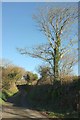 Watermill Walk west of Trewint