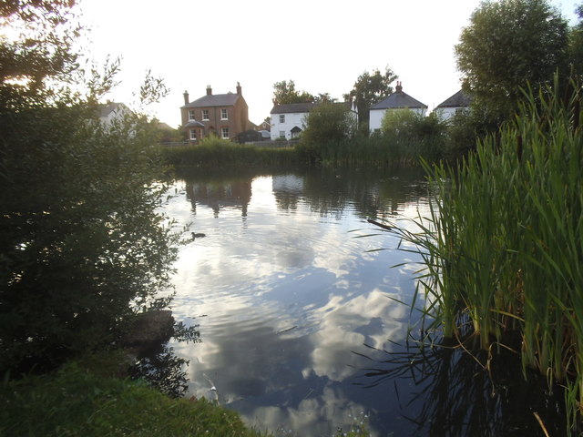 Pond on West End Common, Esher