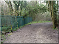 Muddy path between fields,  Selsdon Nature Reserve