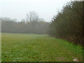 Open space, Selsdon Nature Reserve