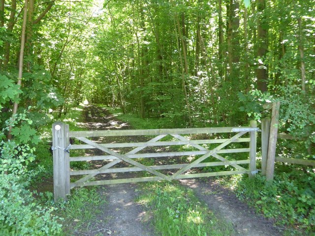 Gate on woodland track