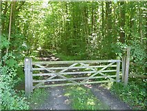 SP1706 : Gate on woodland track by Philip Halling